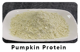 Pumpkin Protein Powder