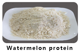 Watermelon protein powder